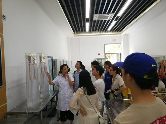 太阳集团城网站2017