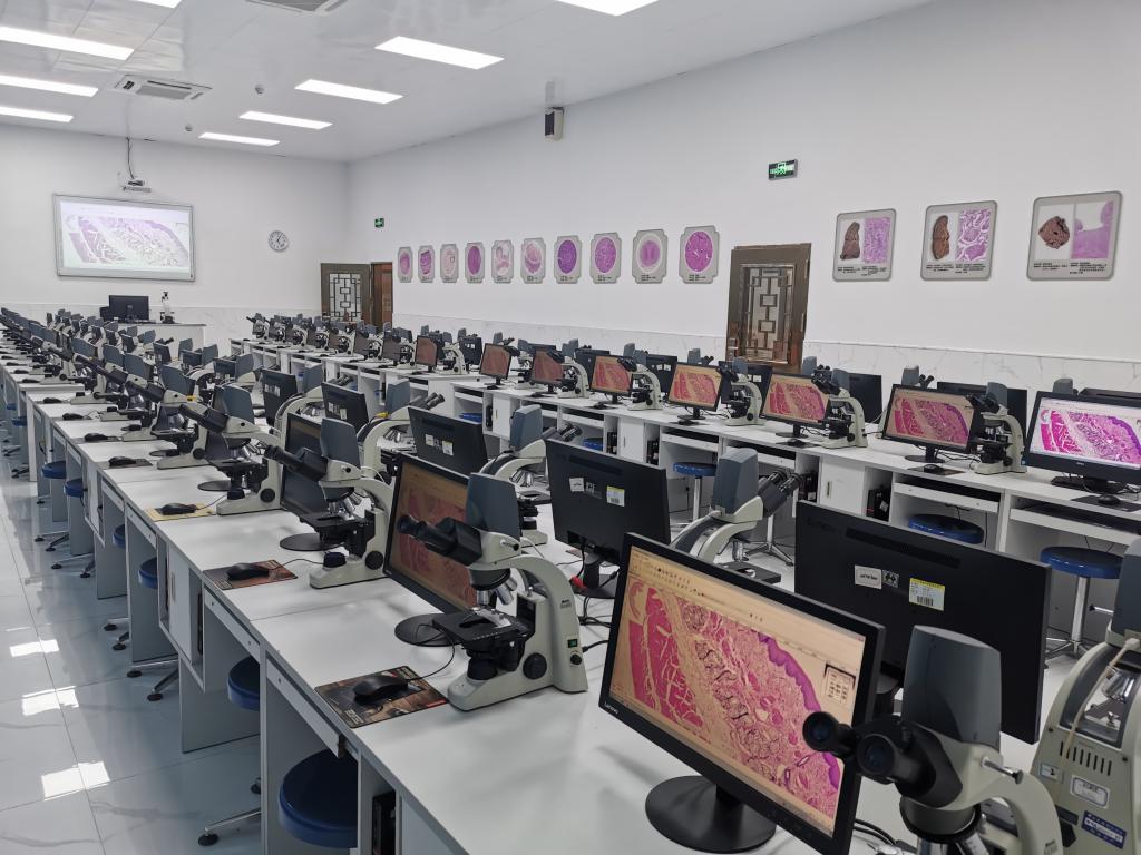 太阳集团城网站2017