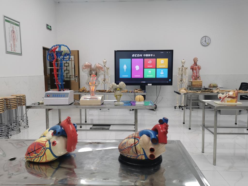 太阳集团城网站2017