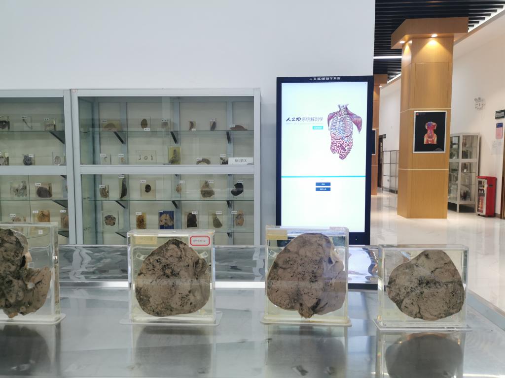 太阳集团城网站2017