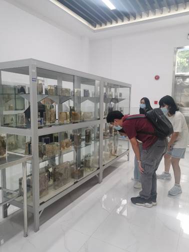 太阳集团城网站2017