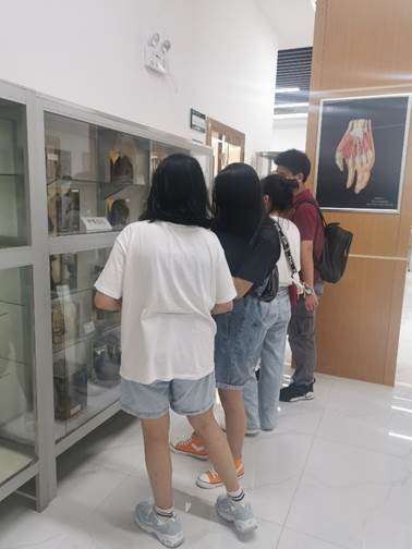 太阳集团城网站2017